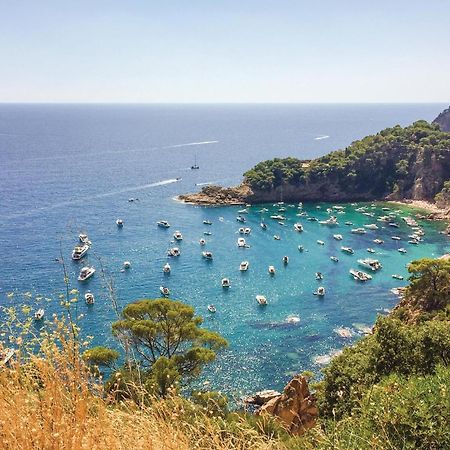 Stunning Apartment In Tossa De Mar With Kitchen Zewnętrze zdjęcie